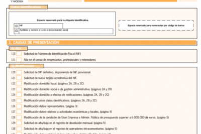 Ejemplo de modelo 036 AEAT